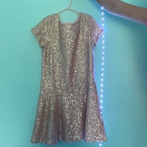 Light pink rose gold Gap sequin dress